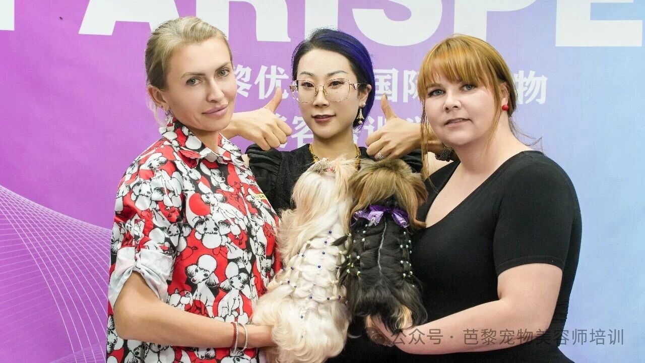 核心师资团队