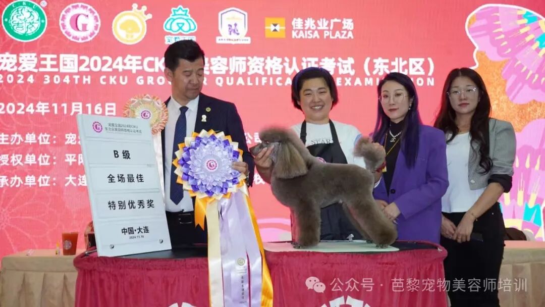 主营业务