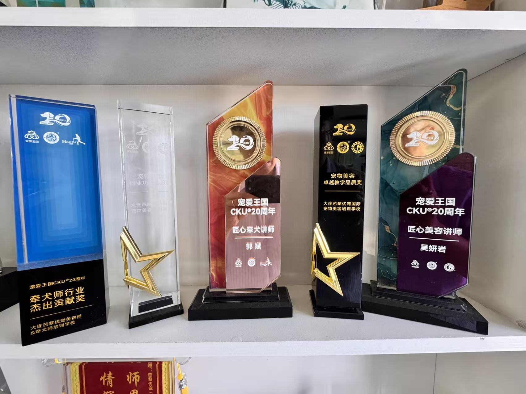 资质、荣誉与合作资源