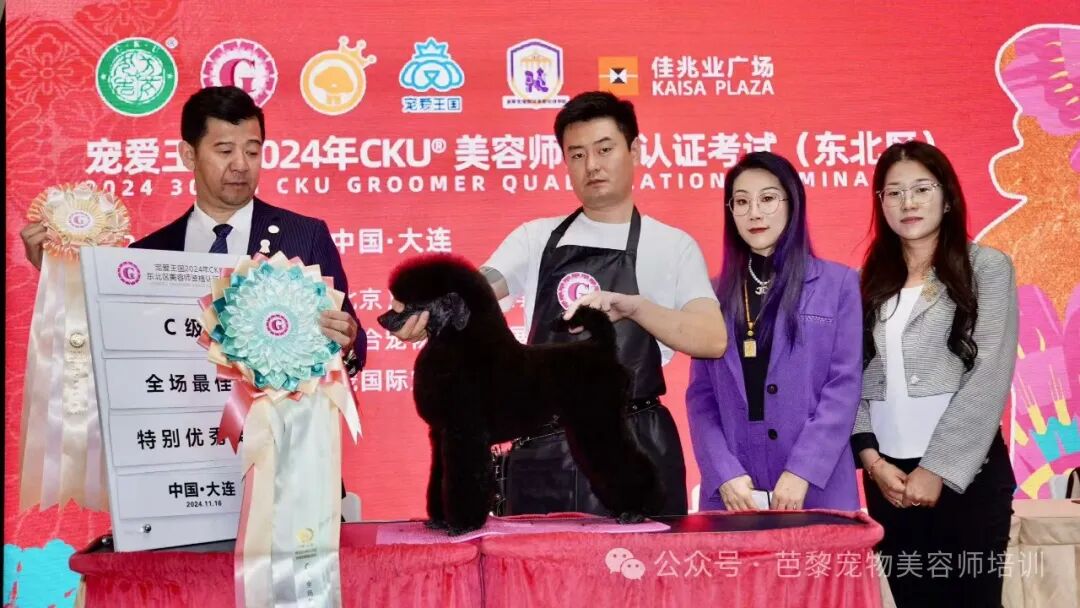 Enrolling in pet groomer training: are tools self-funded or provided by the school? A complete breakdown of hidden industry fees.