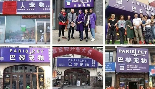 Supported 900  students to open stores Break the local fragmented and non-standardized training model, and open up the path for the development of standardized pet grooming education in Dalian